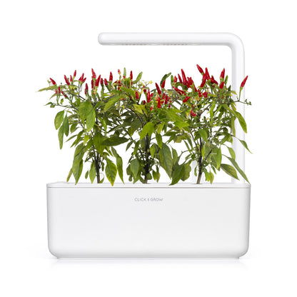 Click & Grow Piri piri chilipeper / 3-pack – Voorgezaaide capsules voor slimme binnentuin