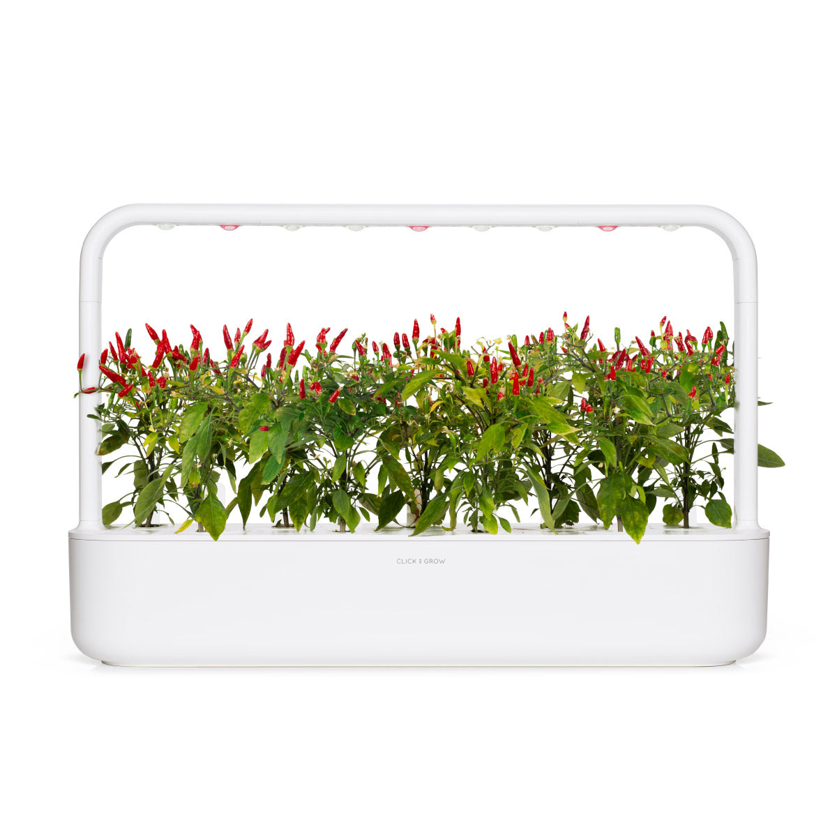 Click & Grow Piri piri chilipeper / 3-pack – Voorgezaaide capsules voor slimme binnentuin