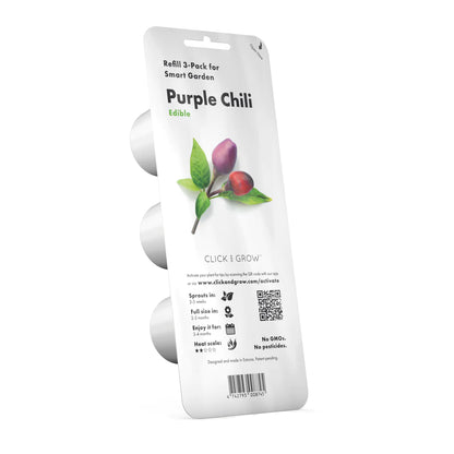 Click &amp; Grow Purple Chilli Pepper / 3-pack