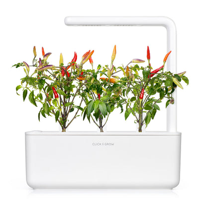 Click & Grow Rode chilipeper / 3-pack – Voorgezaaide capsules voor slimme binnentuin