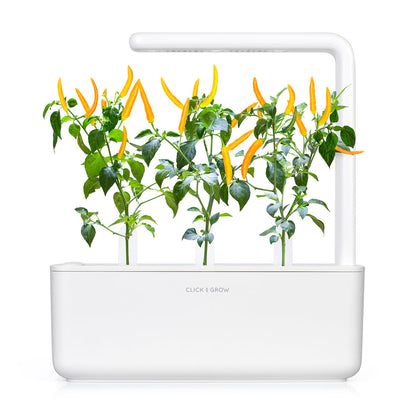 Click & Grow Gele chilipeper / 3-pack – Voorgezaaide capsules voor slimme binnentuin