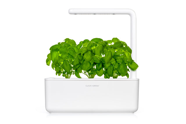 Click & Grow Basilikum / 3er-Pack – Vorgekeimte Kräuterkapseln für Indoor-Garten