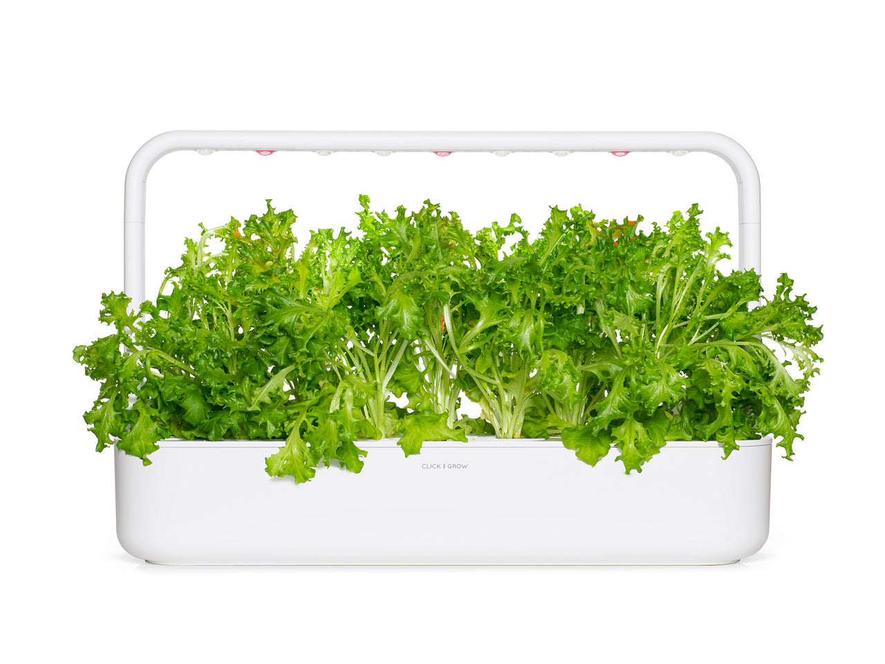 Click & Grow Eikenbladsla / 3-pack – Voorgezaaide slacapsules voor slimme binnentuin