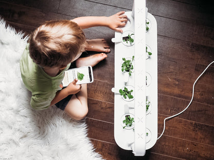 Click & Grow Smart Garden 9, Blanc + Pack de 9 Capsules Basilic – Potager d’intérieur intelligent avec assortiment de basilic