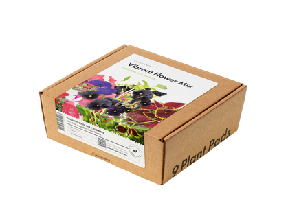 Click & Grow Navulling Kleurrijke Bloemenmix – 9 Capsules (3x3) – Slimme Moestuin