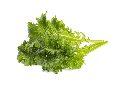 Click & Grow Wasabi mosterd / 3-pack – Voorgezaaide capsules voor slimme binnentuin