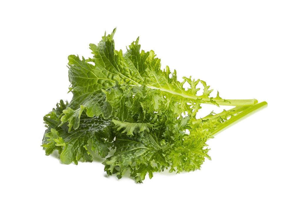 Click & Grow Wasabi mosterd / 3-pack – Voorgezaaide capsules voor slimme binnentuin