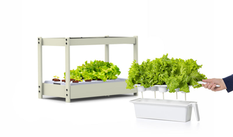 Click & Grow 25 – Slimme Indoor Moestuin – 25 Plantplekken