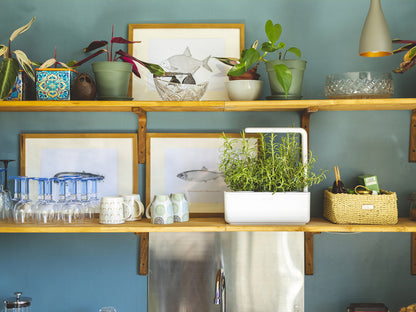 Click & Grow Smart Garden 3, Wit – Slimme compacte binnentuin met LED-licht