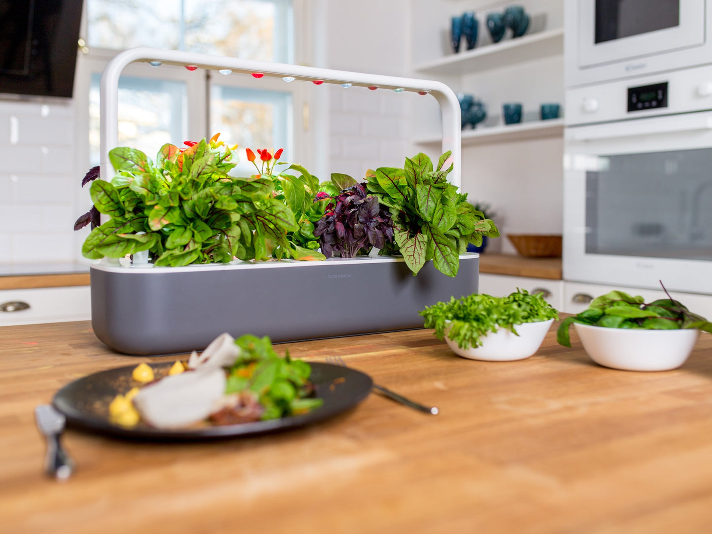 Click & Grow Smart Garden 9 Dunkelgrau + Asian Cuisine Nachfüllpackung (9 Kapseln)