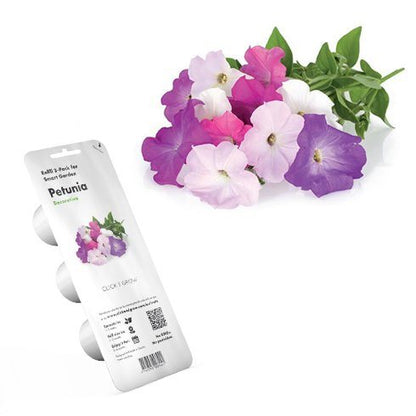 Click & Grow Petunia / 3-pack – Voorgezaaide bloemencapsules voor slimme binnentuin