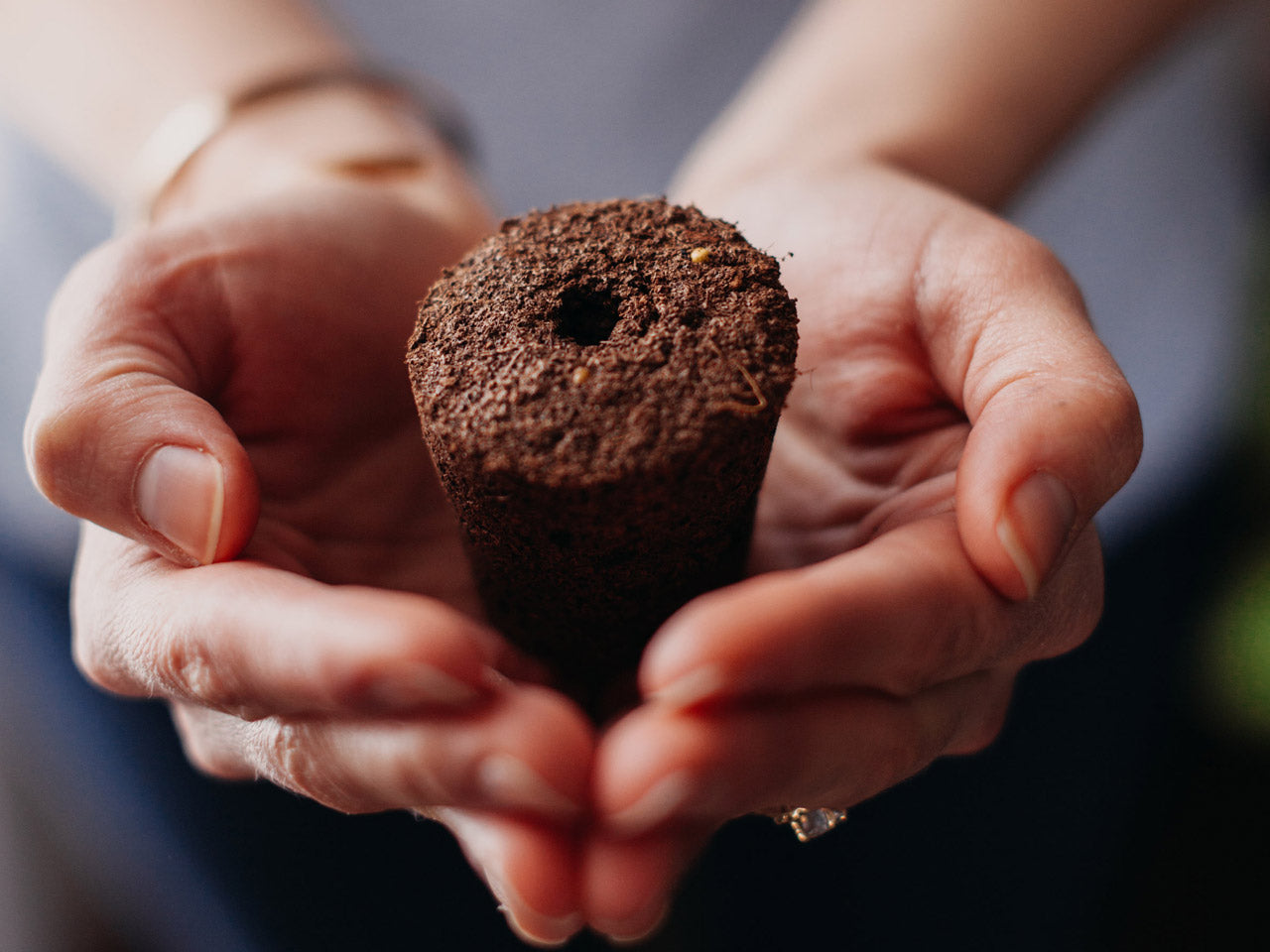 Click & Grow Smart Garden 3, Beige – Slimme binnentuin met LED-licht en 3 capsules